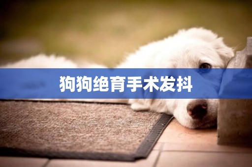 狗狗絕育手術發抖