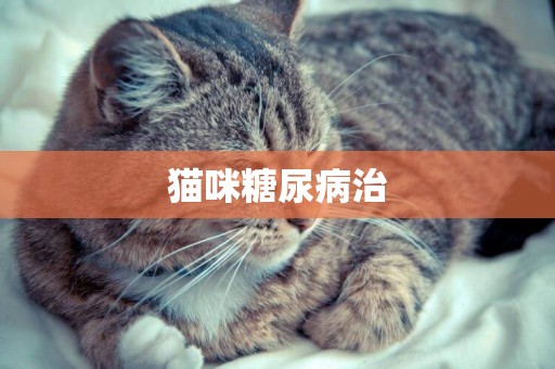 貓咪糖尿病治