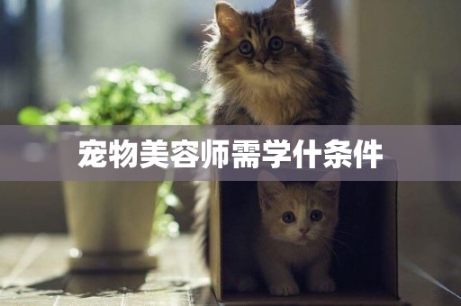 寵物美容師需學什條件