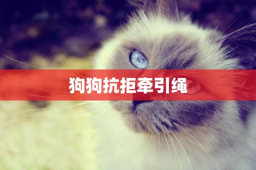狗狗抗拒牽引繩