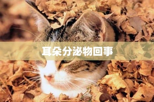 耳朵分泌物回事
