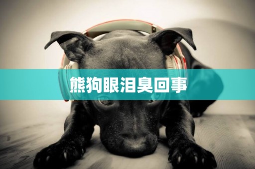 熊狗眼淚臭回事