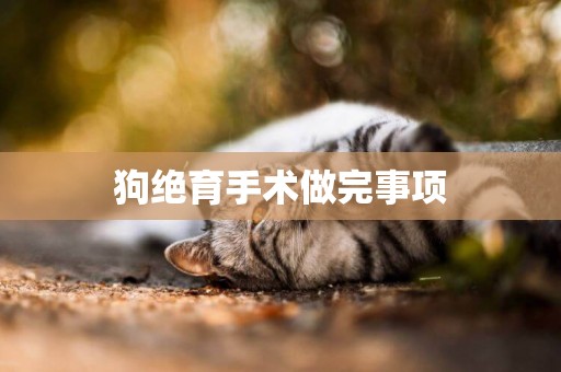 狗絕育手術做完事項