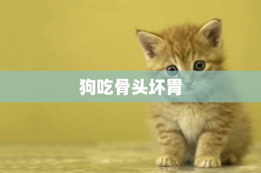 狗吃骨頭壞胃