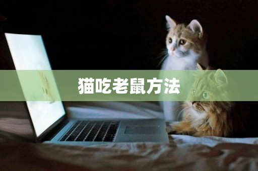 貓吃老鼠方法