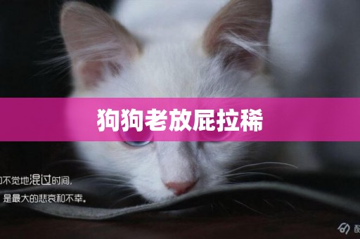 狗狗老放屁拉稀