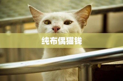 純布偶貓錢