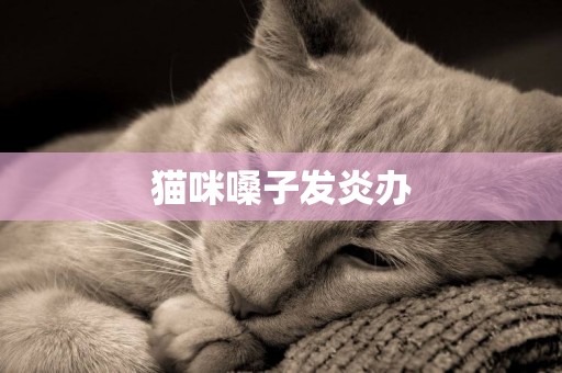 貓咪嗓子發炎辦
