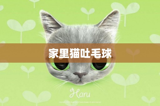 家里貓吐毛球