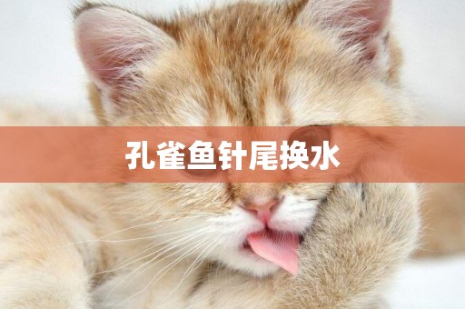 孔雀魚針尾換水