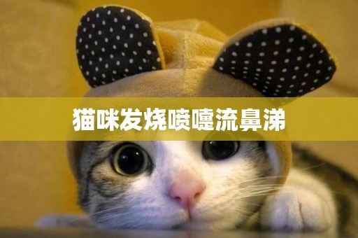 貓咪發燒噴嚏流鼻涕