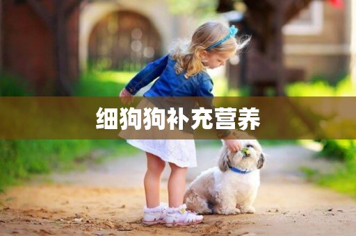 細狗狗補充營養