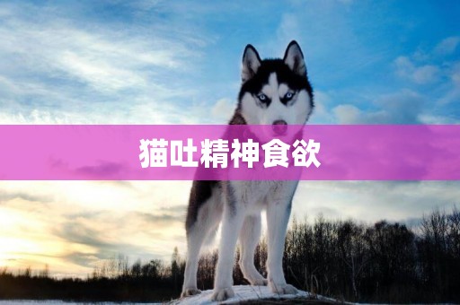 貓吐精神食欲