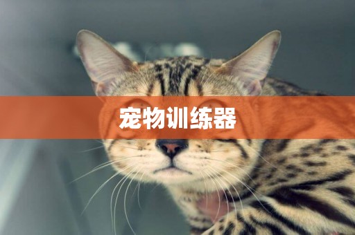寵物訓練器