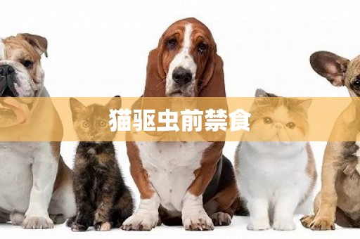 貓驅蟲前禁食