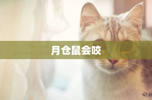 月倉鼠會咬
