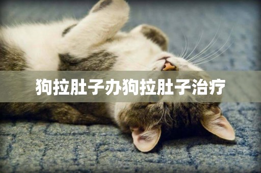狗拉肚子辦狗拉肚子治療