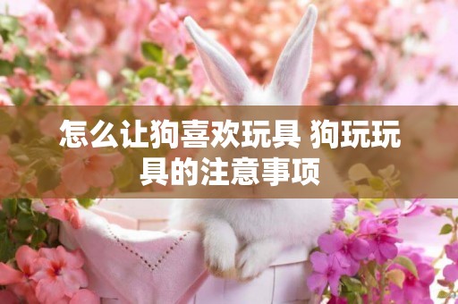 怎么讓狗喜歡玩具 狗玩玩具的注意事項