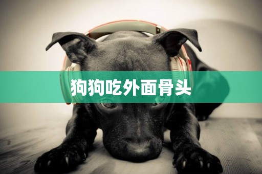 狗狗吃外面骨頭