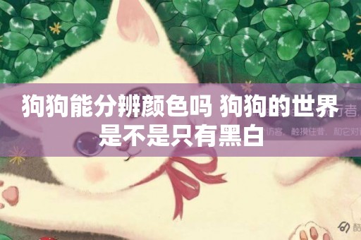 狗狗能分辨顏色嗎 狗狗的世界是不是只有黑白