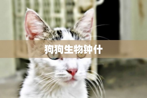 狗狗生物鐘什