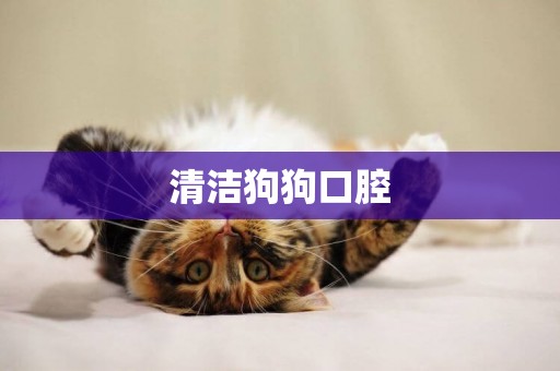 清潔狗狗口腔