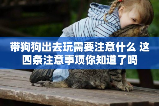 帶狗狗出去玩需要注意什么 這四條注意事項你知道了嗎 帶狗狗出去玩需要注意什么 這四條注意事項你知道了嗎