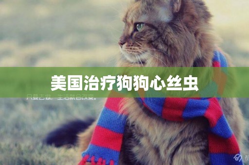 美國治療狗狗心絲蟲
