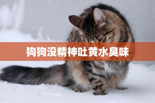 狗狗沒精神吐黃水臭味