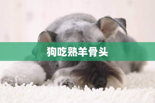 狗吃熟羊骨頭