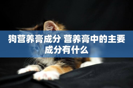 狗營養膏成分 營養膏中的主要成分有什么