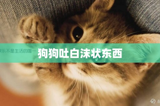 狗狗吐白沫狀東西