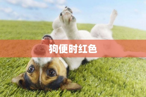 狗便時紅色