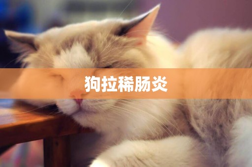 狗拉稀腸炎