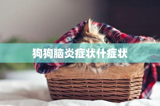 狗狗腦炎癥狀什癥狀