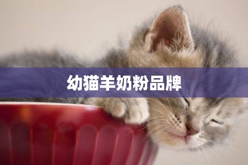 幼貓羊奶粉品牌