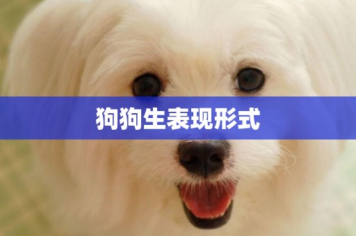 狗狗生表現形式