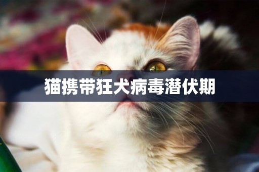 貓攜帶狂犬病毒潛伏期