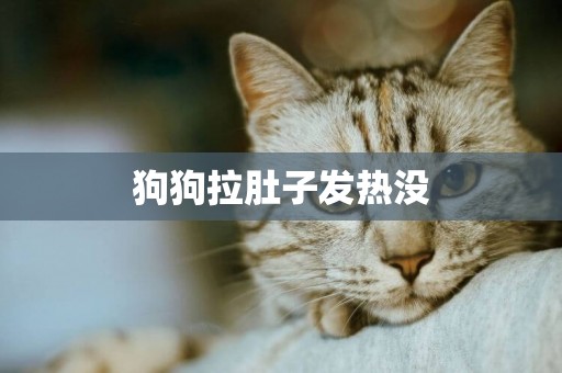 狗狗拉肚子發熱沒