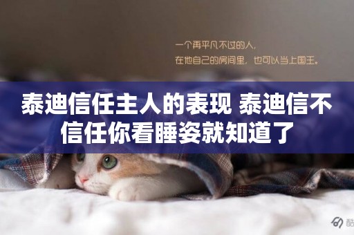 泰迪信任主人的表現 泰迪信不信任你看睡姿就知道了
