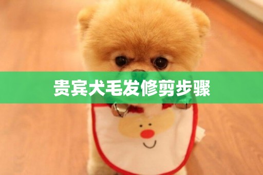 貴賓犬毛發修剪步驟