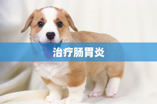 治療腸胃炎