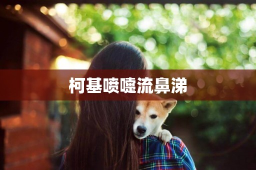 柯基噴嚏流鼻涕