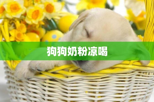 狗狗奶粉涼喝