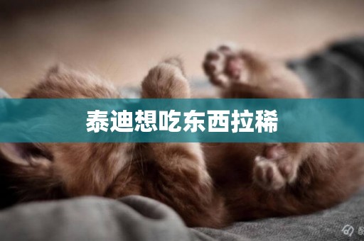 泰迪想吃東西拉稀