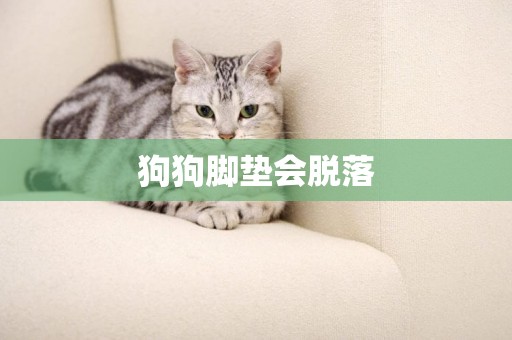 狗狗腳墊會脫落