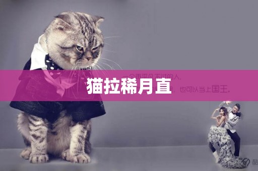 貓拉稀月直
