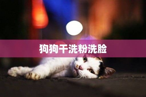 狗狗干洗粉洗臉