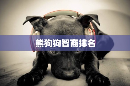 熊狗狗智商排名