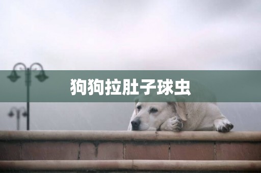 狗狗拉肚子球蟲